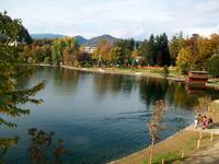 Bled