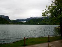 Bled