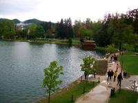 Bled