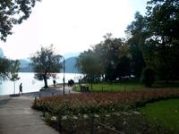 Bled