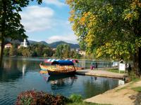 Bled