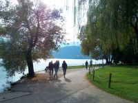 Bled