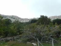 Blick zum Gipfel 