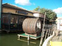 Comaccio
