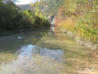 Der Fluss Mirna