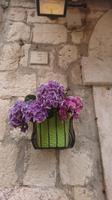 Detail aus der Altstadt Dubrovniks