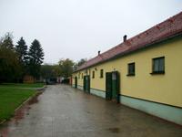Djakovo, Lipizzaner- Gestüt