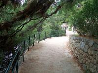 Dubrovnik, Lapad Bucht (Promenade)
