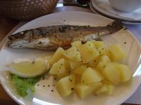 Fischpicknick