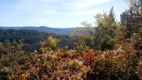 Herbststimmung auch hiet