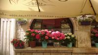 Hortensiendekoration in Trogir