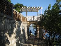 IMG_0006