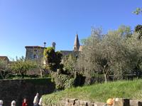 IMG_5983