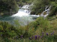 IMG_6178