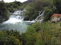 IMG_6179
