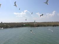 IMG_6374