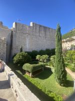 IMG_9782.jpeg