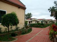 Ilok