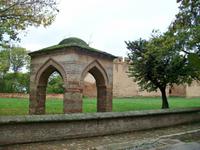 Ilok