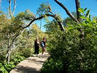 Im Nationalpark der Plitwitzer Seen 