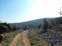 Insel Cres