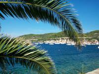 Insel Vis, Ort Vis