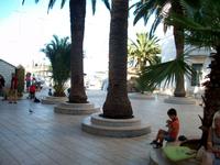 Insel Vis, Ort Vis