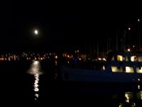 Insel Vis, Ort Vis