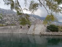 Kotor