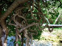 Krka - Nationalpark 