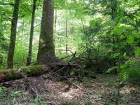 Lehrpfad 