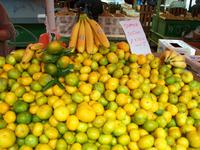 Markt in Split
