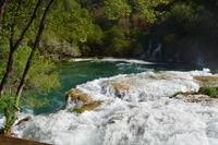 NP Krka
