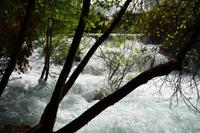 NP Krka