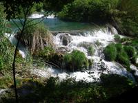 NTP Krka