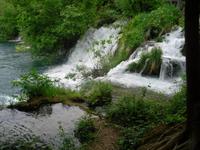 NTP Krka
