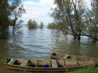 Naturpark Lonjsko Polje