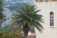 PA150018, Makarska  (1).jpg