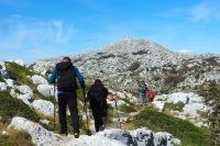 PA180140, Wandergruppe.jpg