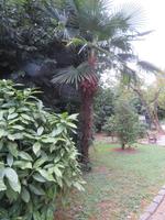 Park von Opatija