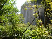Plitwitzer Seen