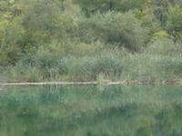 Plitwitzer Seen
