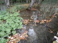 Plitwitzer Seen