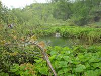 Plitwitzer Seen