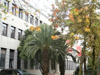 Podgorica 