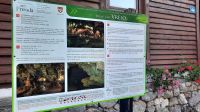 Singlereise Kroatien - Grotte Vreno in Fuzine
