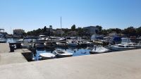 Singlereise Kroatien - Hafen in Krk-Stadt