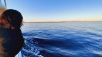 Singlereise Kroatien - Rückfahrt nach Malinska 