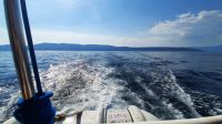 Singlereise Kroatien - Rückfahrt zur Insel Krk