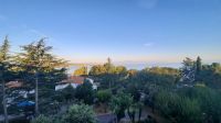 Singlereise Kroatien - Sonnenaufgang über der Adria
